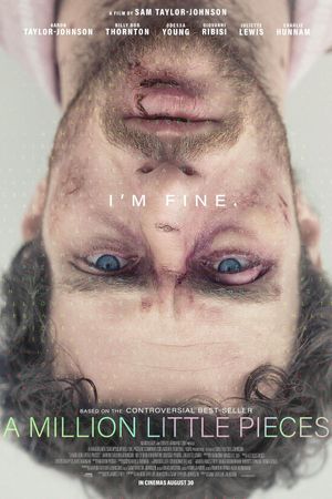 A Million Little Pieces's poster