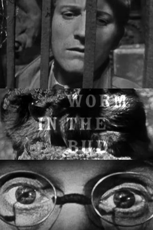 Worm in the Bud's poster image