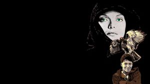 Ladyhawke's poster