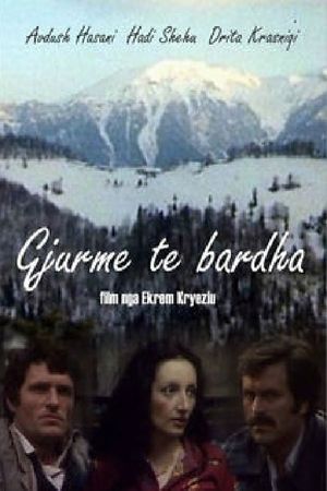 Gjurmët e barëdha's poster