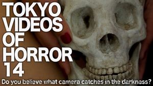Tokyo Videos of Horror 14's poster