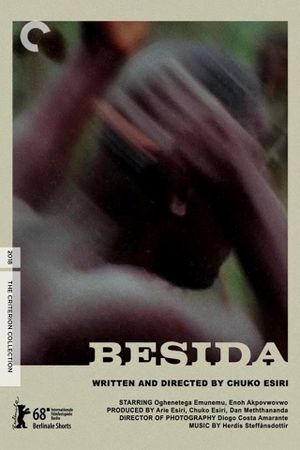 Besida's poster