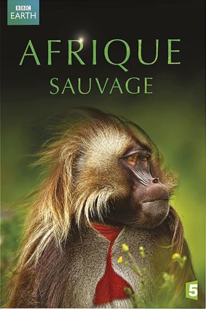 Afrique Sauvage's poster