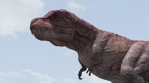 Dino King's poster
