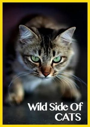 Wild Side of Cats's poster image