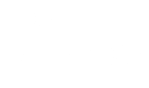 The Novice's poster