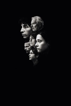 The Accusation's poster