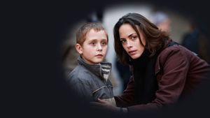 The Search's poster