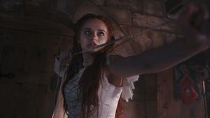 The Princess's poster