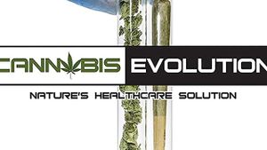 Cannabis Evolution's poster