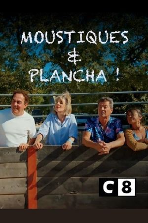 Les Chevaliers du Fiel : Moustiques et plancha's poster