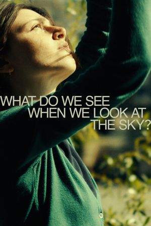 What Do We See When We Look at the Sky?'s poster