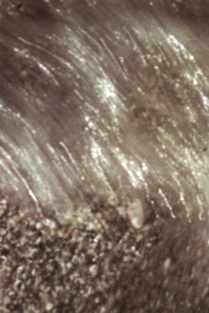 Watercourse's poster image