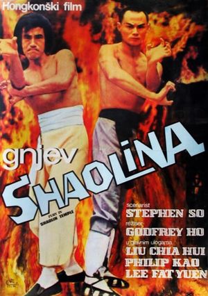 Fury in the Shaolin Temple's poster
