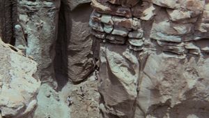 Planet of the Apes's poster