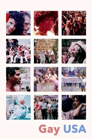 Gay USA's poster