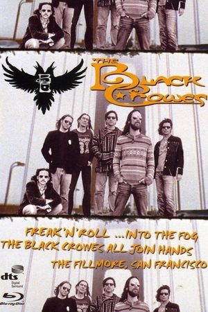 The Black Crowes - Freak 'n' Roll... Into the Fog's poster
