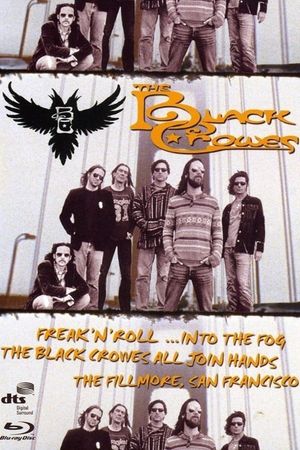 The Black Crowes - Freak 'n' Roll... Into the Fog's poster image