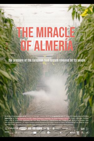 The Miracle of Almería's poster