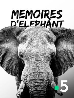Mémoires d'éléphant's poster