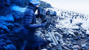 Penguins: Life on the Edge's poster