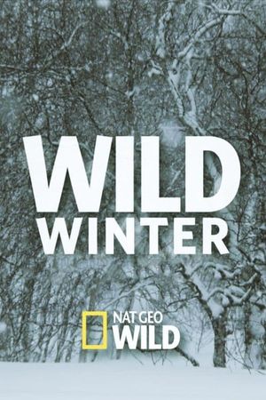 Wild Winter's poster