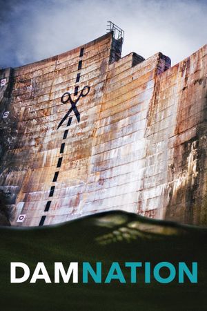 DamNation's poster