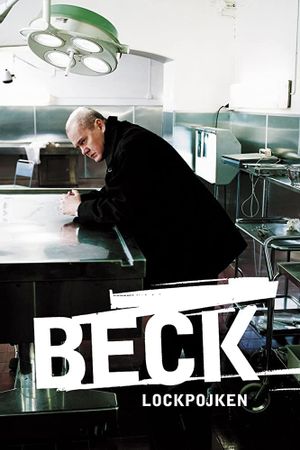 Beck 01 - The Decoy Boy's poster