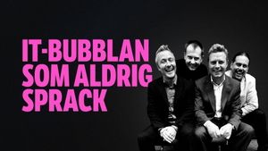 IT-bubblan som aldrig sprack's poster