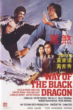 Way of the Black Dragon's poster image