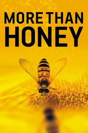 More Than Honey's poster