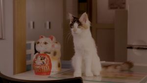 Rent-a-Cat's poster