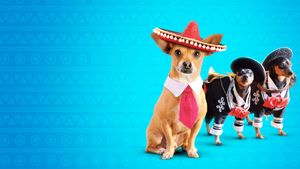 Beverly Hills Chihuahua 3: Viva la Fiesta!'s poster