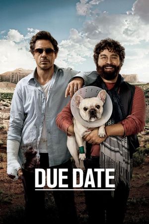 Due Date's poster
