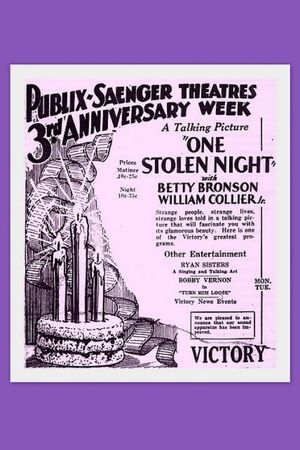 One Stolen Night's poster image