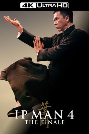 Ip Man 4: The Finale's poster