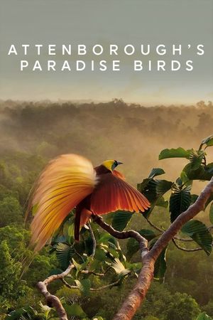 Attenborough's Paradise Birds's poster