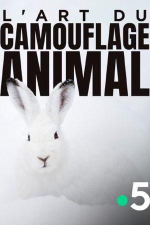 L'art du camouflage animal's poster