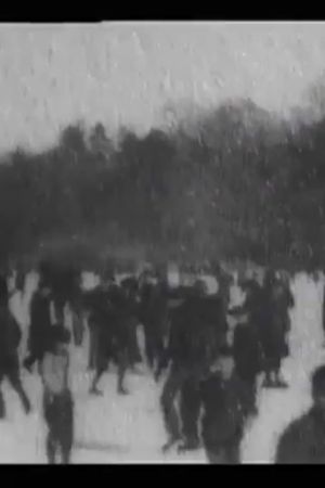Skating on Lake, Central Park's poster