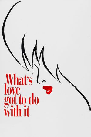 What's Love Got to Do with It's poster