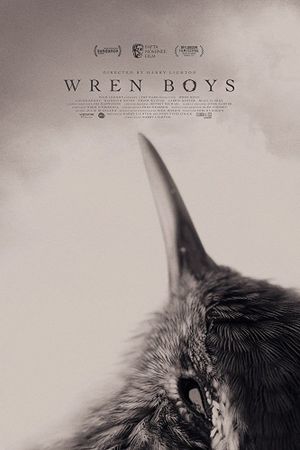 Wren Boys's poster