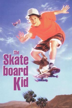 The Skateboard Kid's poster