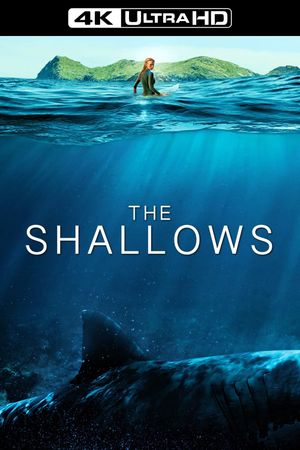 The Shallows's poster