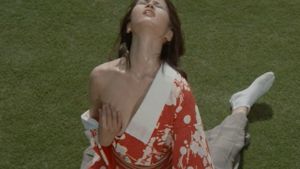 Onsen suppon geisha's poster