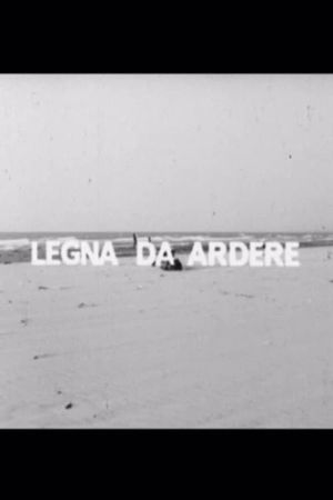 Legna da ardere's poster image