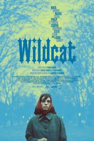 Wildcat's poster