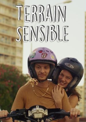 Terrain Sensible's poster
