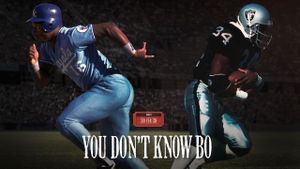 You Don't Know Bo's poster