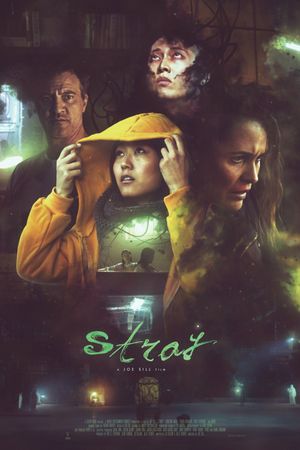 Stray's poster