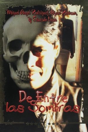 Entre las sombras's poster